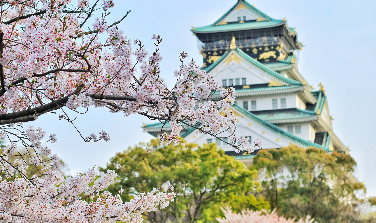 Must-see Spots